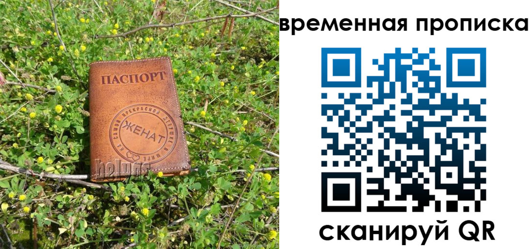 форма 3 в Елабуге